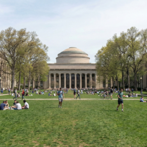 Alessia M. (Academic)